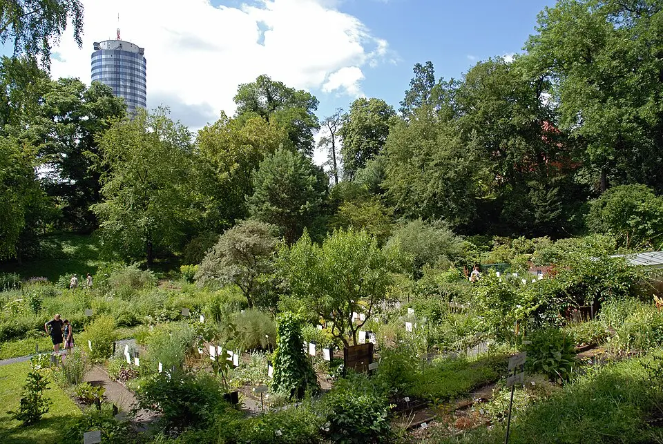 Botanischer Garten Jena