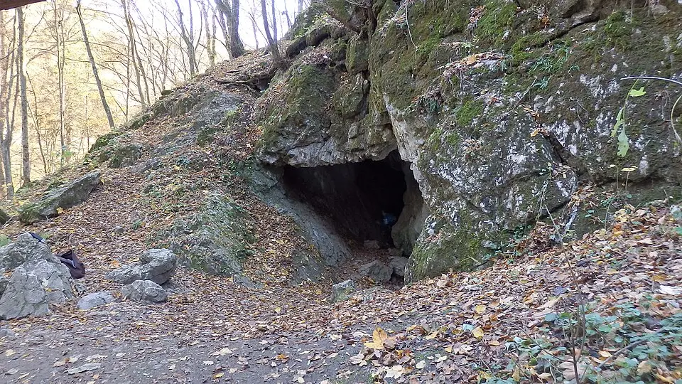 Netopýrka