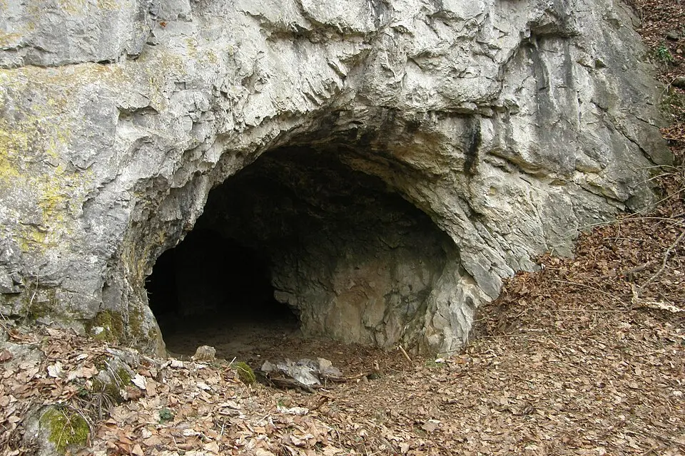 Jestřábka