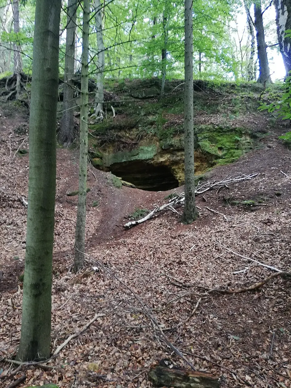 Lipka