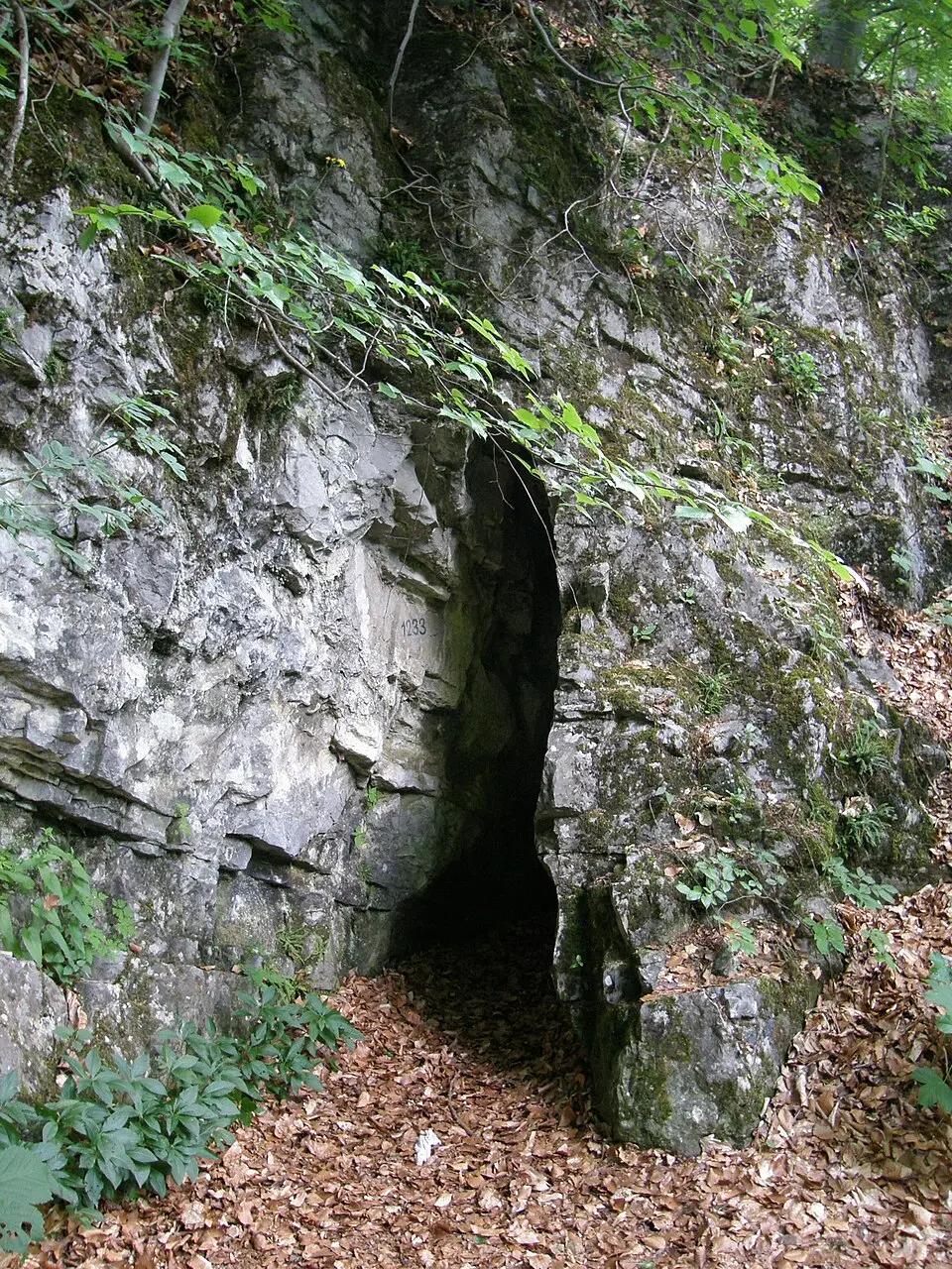 Nad Švýcárnou