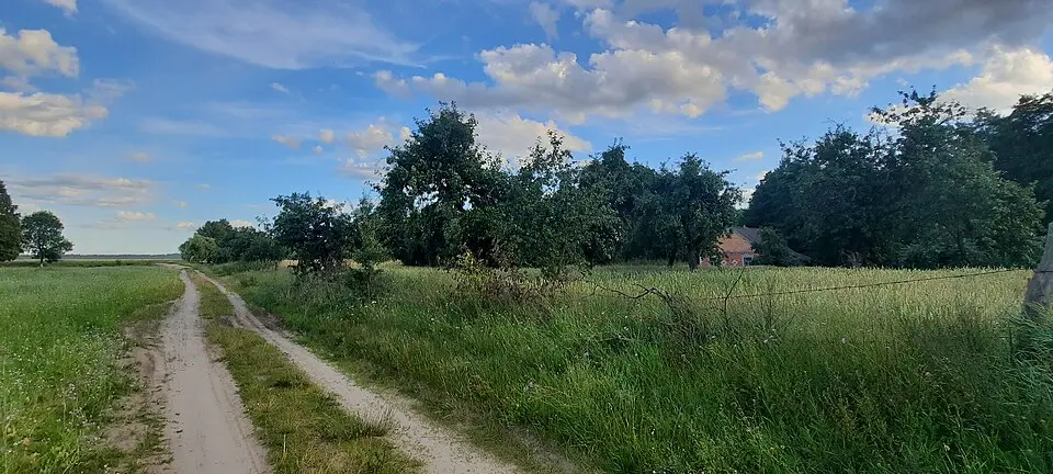 Aborki