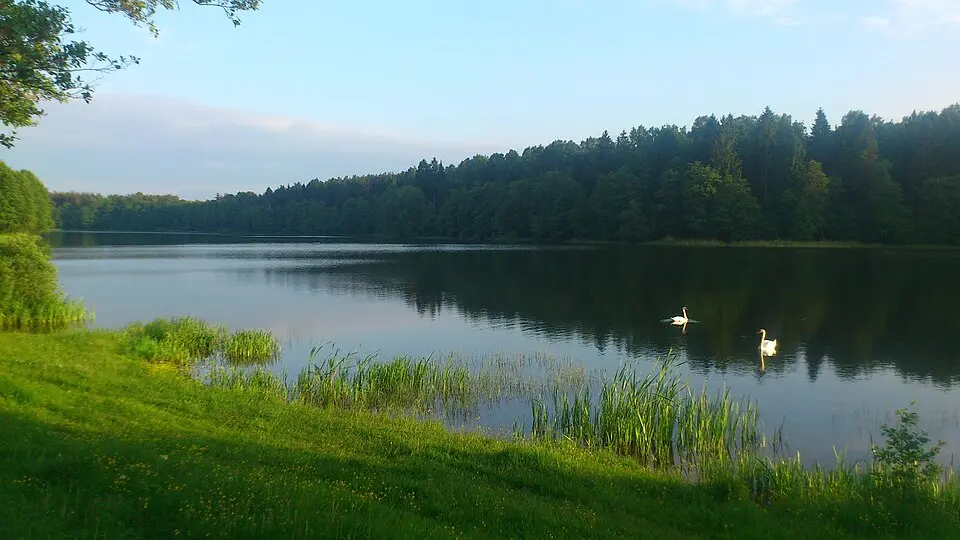 Welski Park Krajobrazowy