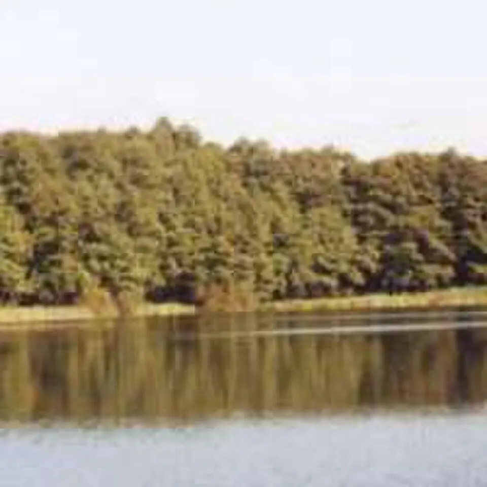 Jezioro Lidzbarskie