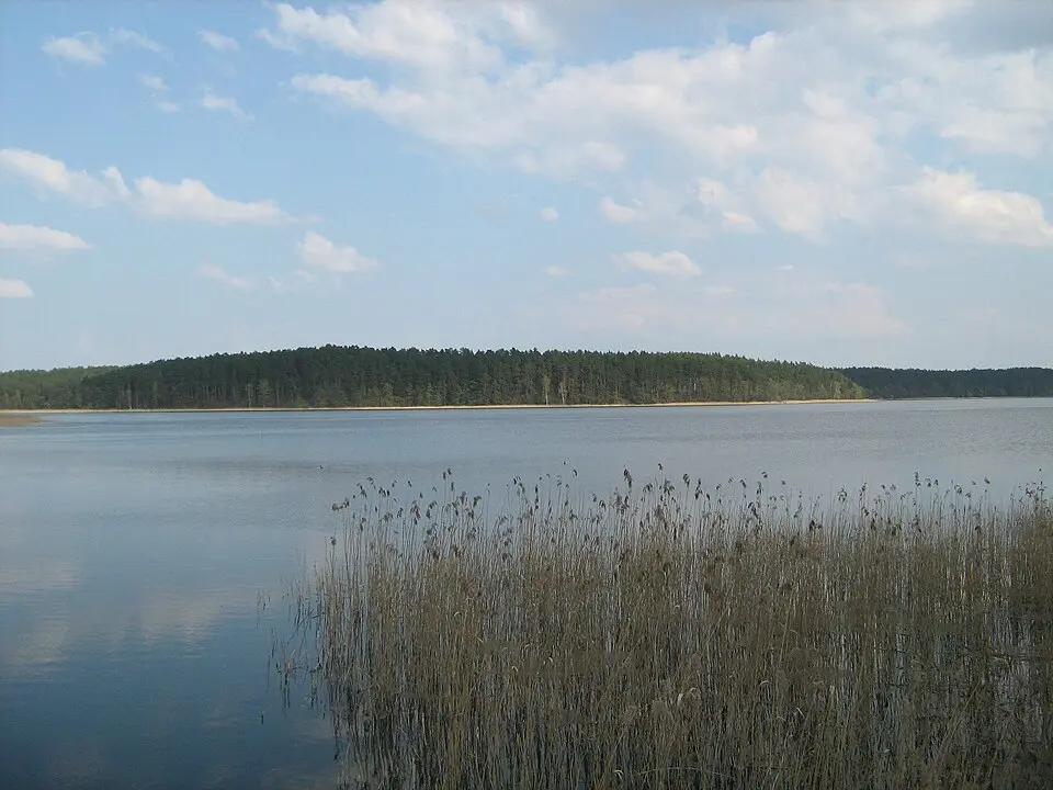 Orzysz