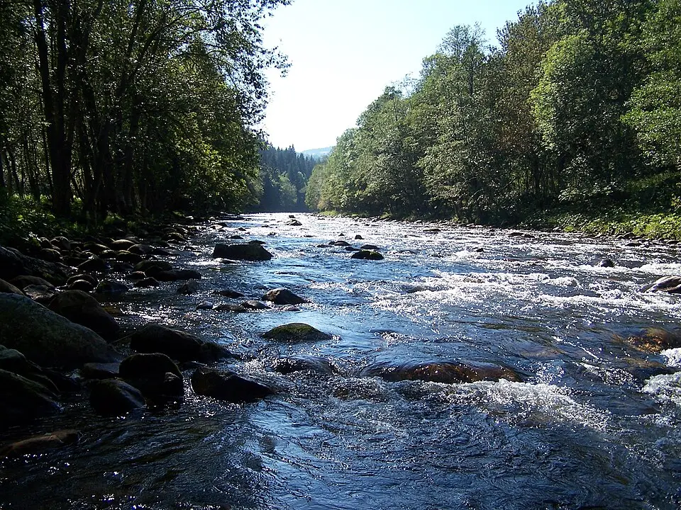 Otava