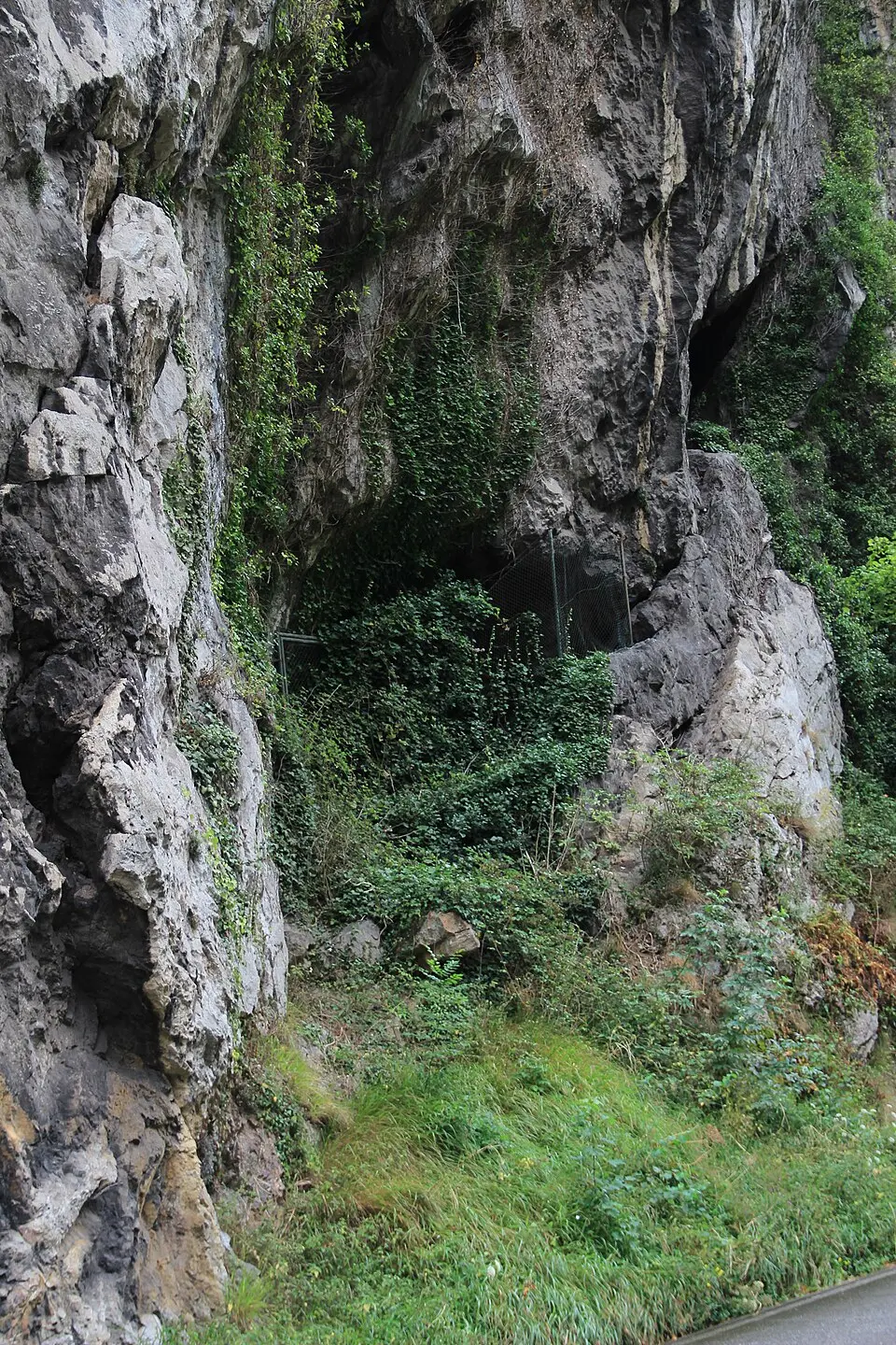 Cueva del Molín
