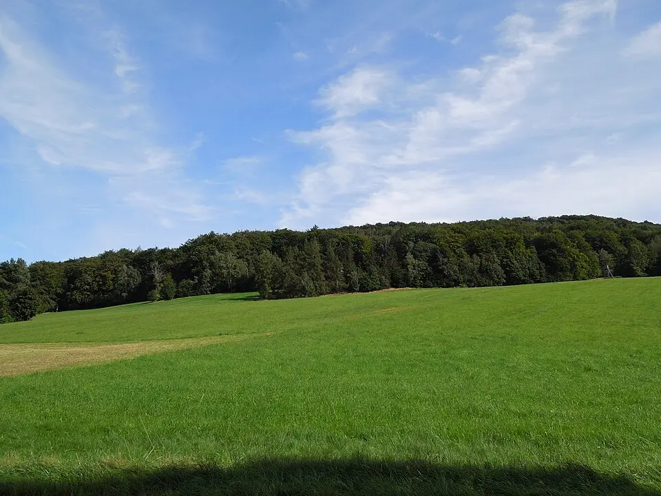 Jonsberg
