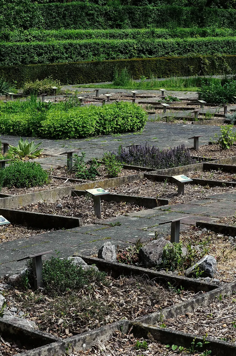 jardin des plantes médicinales Paul Moens