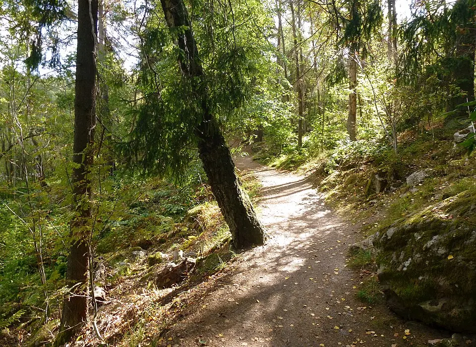 Judarskogens naturreservat