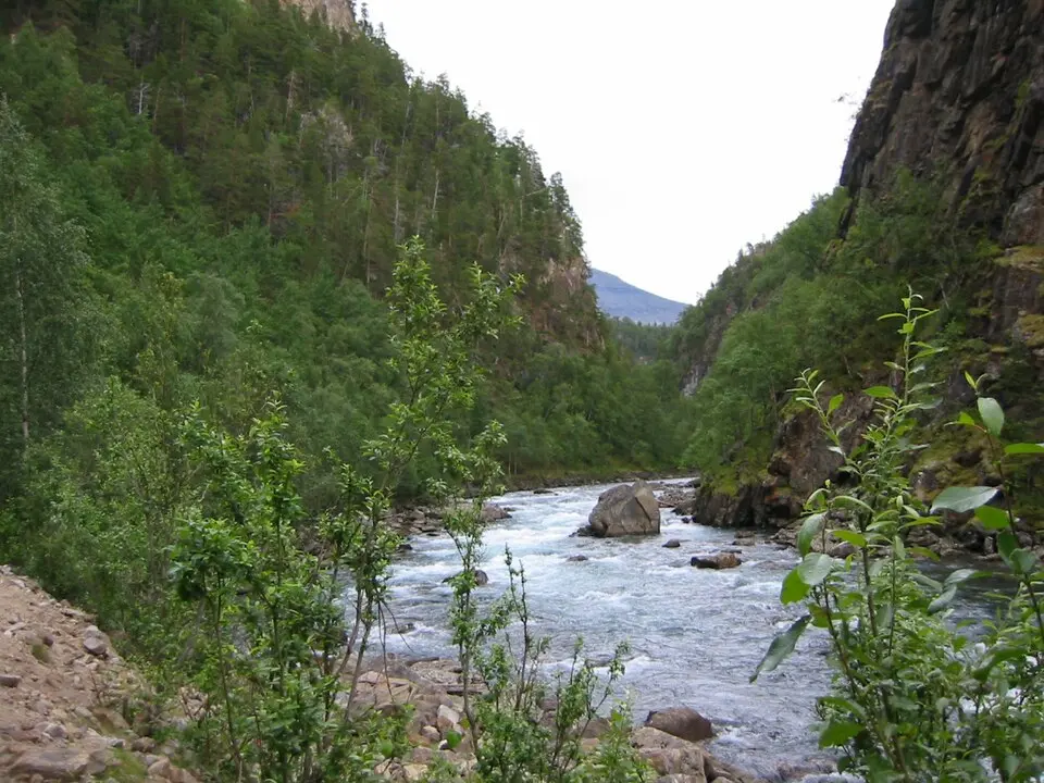 Saltdal