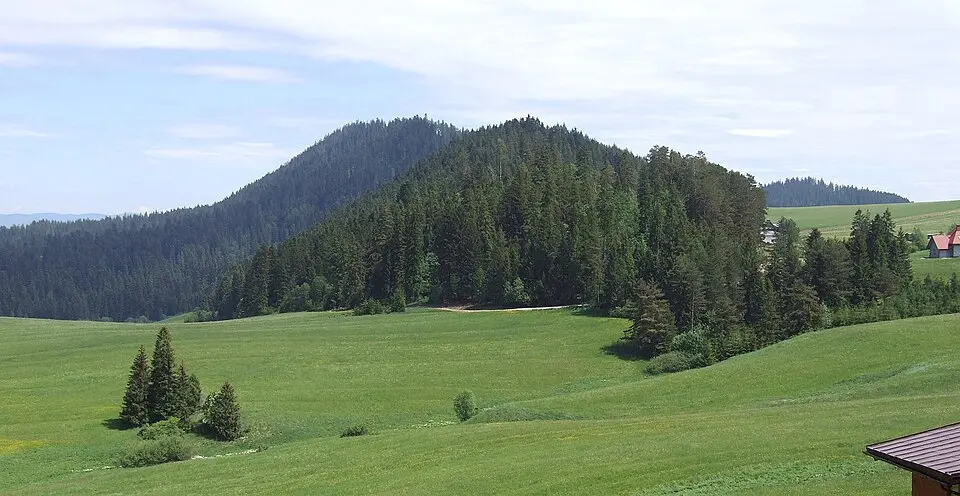 Jurgowska Góra