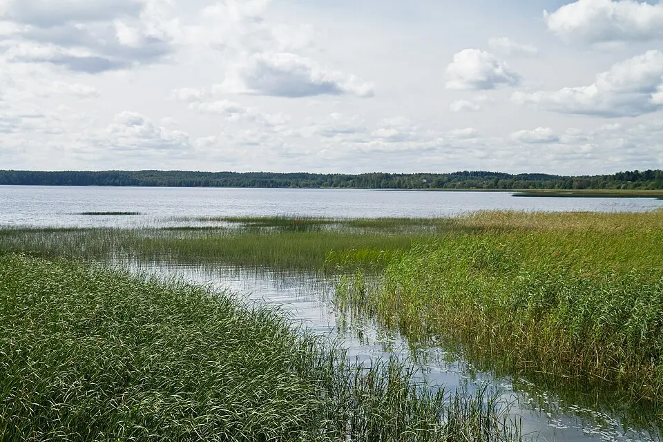 Абстэрна