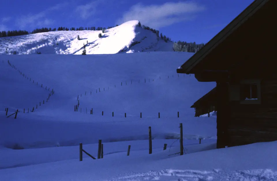 Wieslerhorn