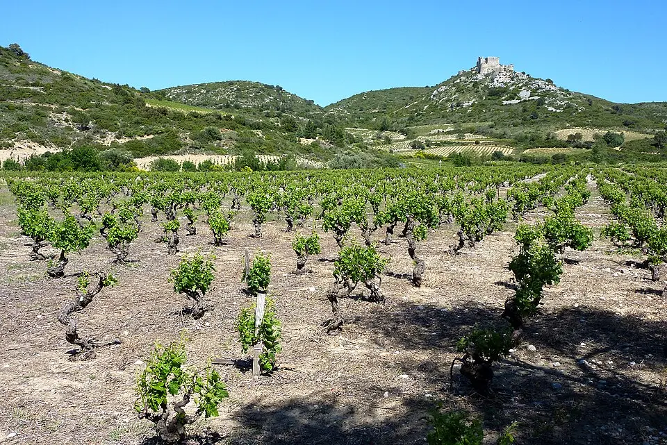 Corbières