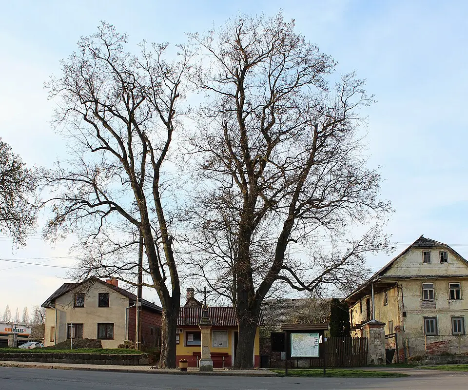 Kadlín