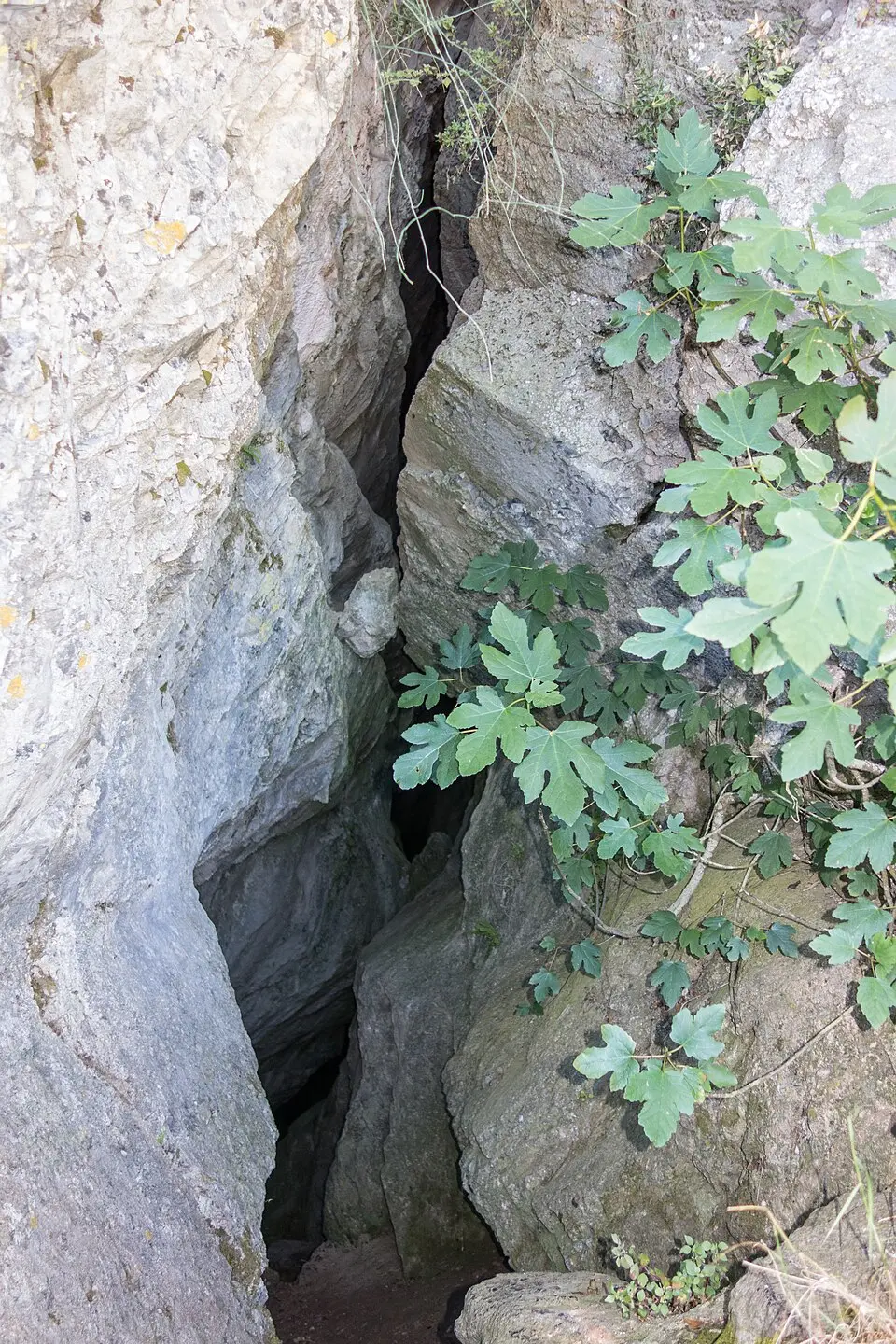 Cave of Caiada
