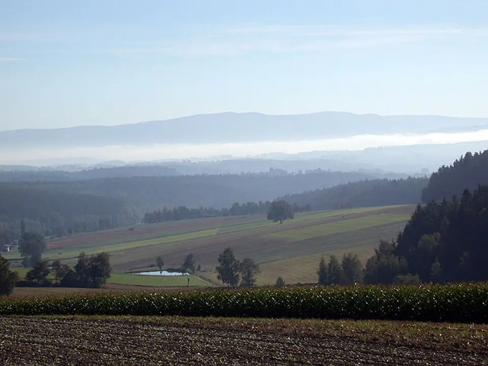 Immagine: Michael Rückl, Arzberg · CC BY-SA 3.0 DE Slavkovský les
