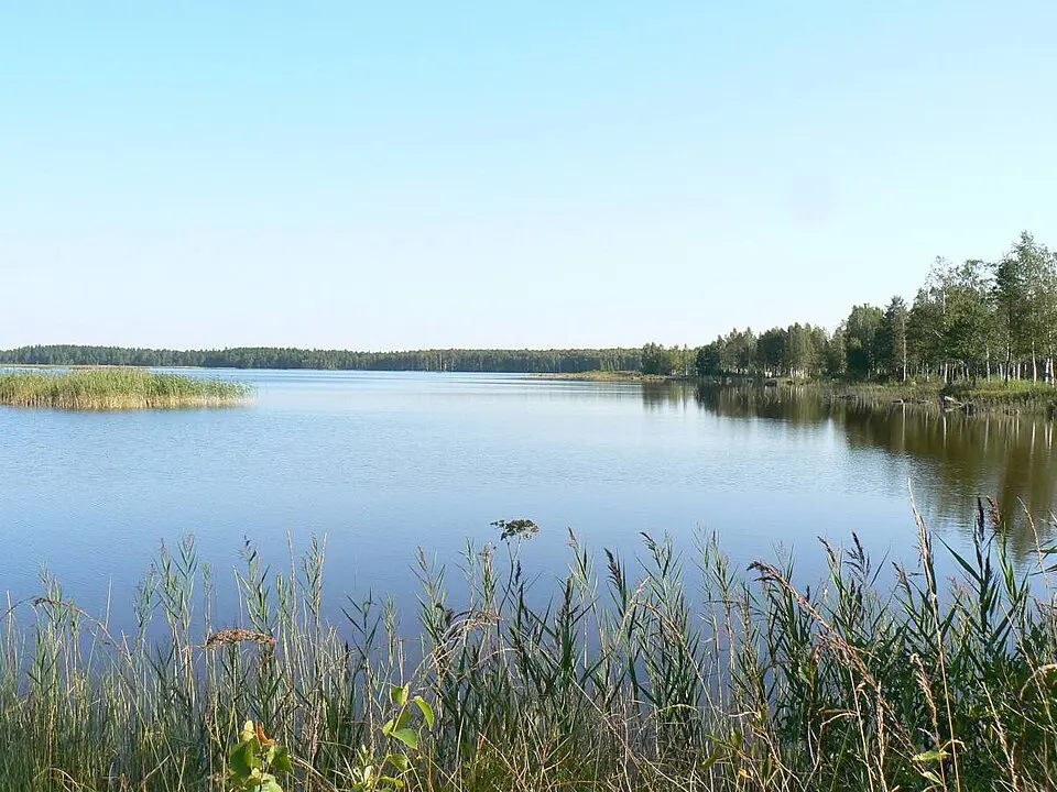 Kaisma järv