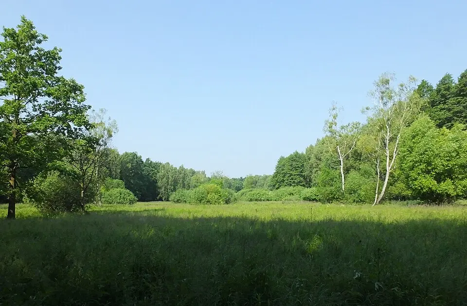 Rezerwat przyrody Kalinowa Łąka