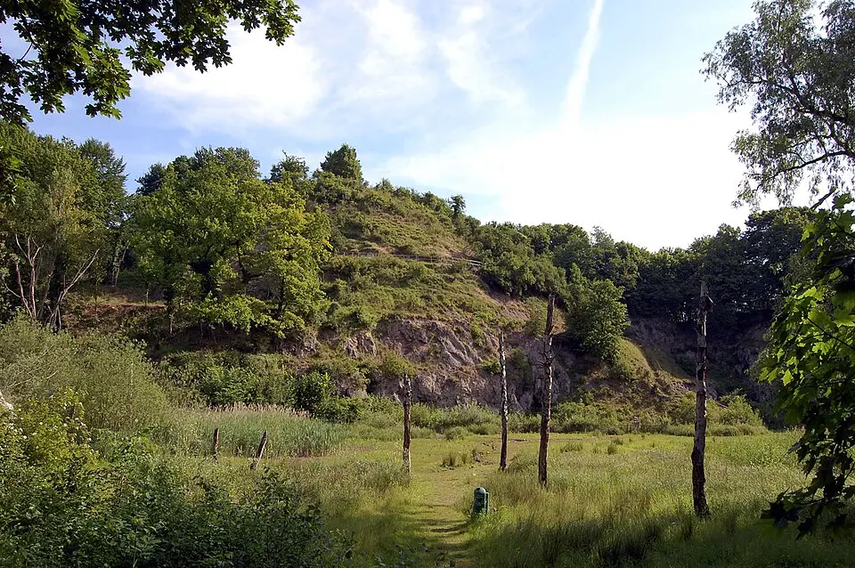 Lüneburger Kalkberg