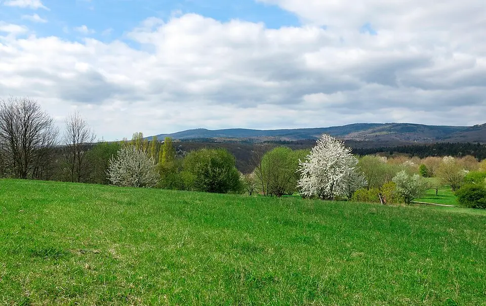 Kalte Herberge