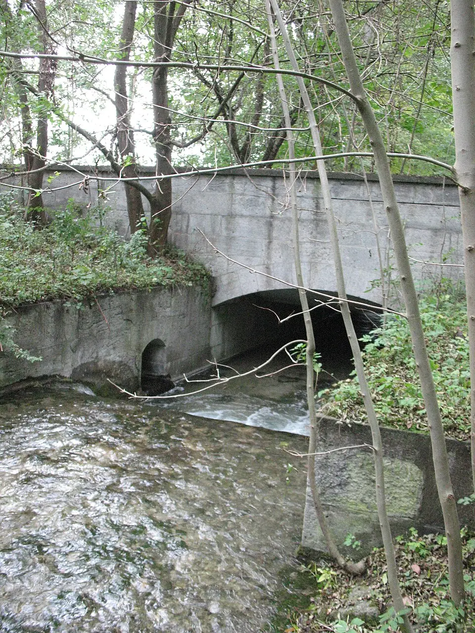 Kalterbach