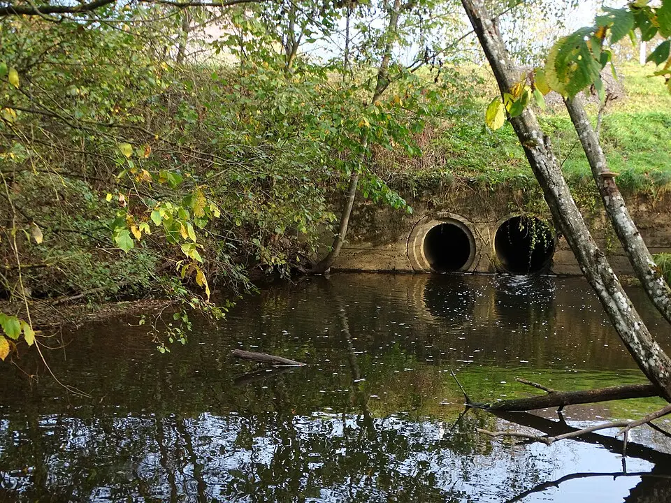 Kaltis