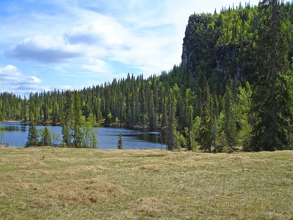 Kalvtjärnarna