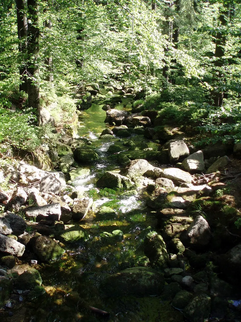 Kamenice