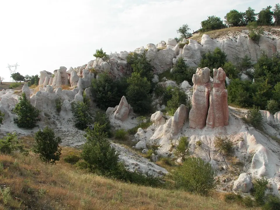 Зимзелен