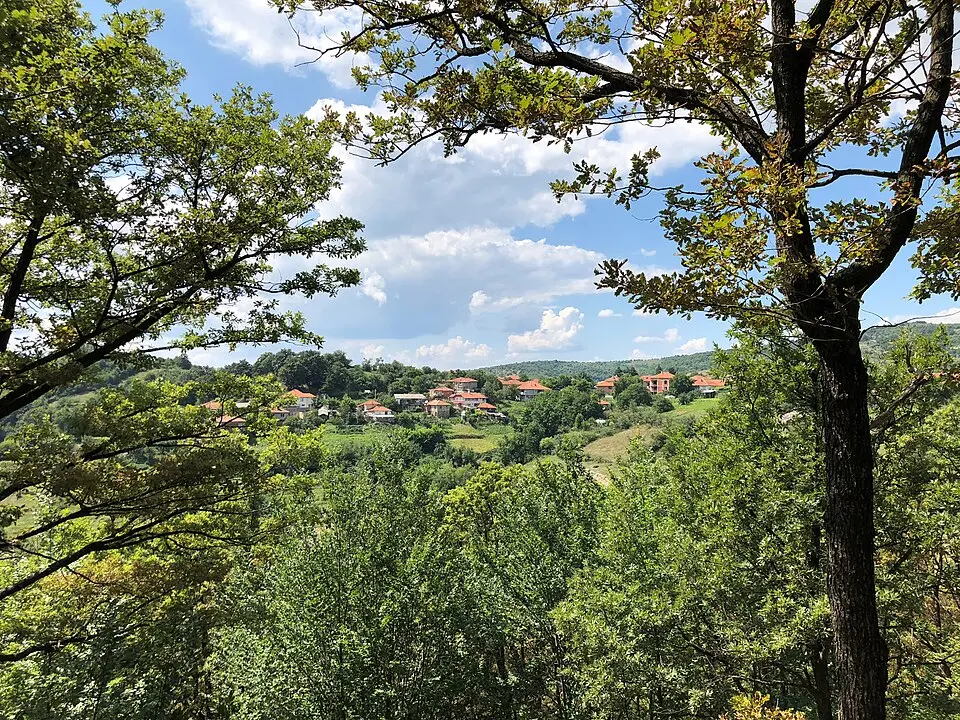 Каменяк