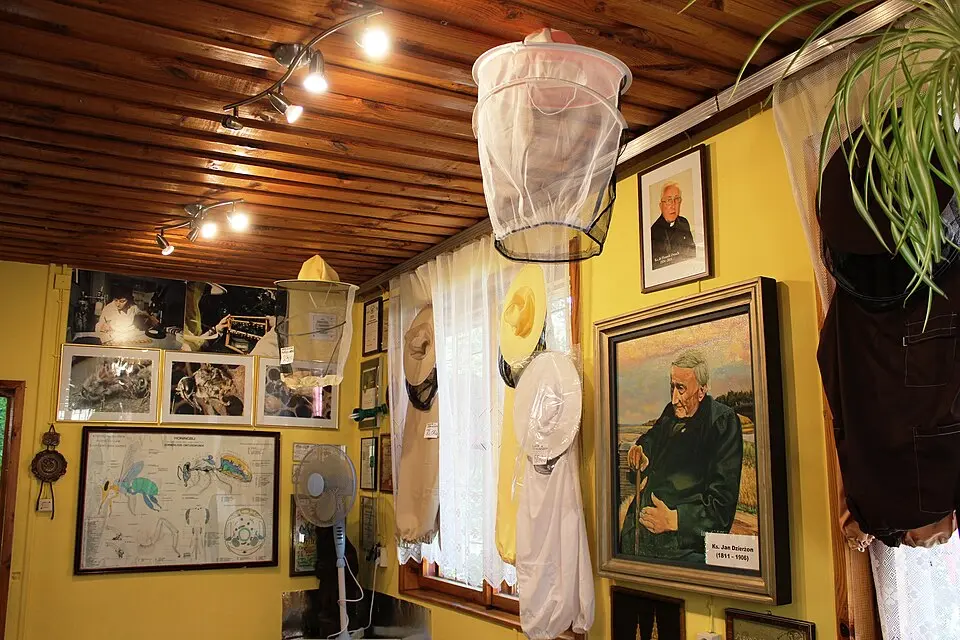 Muzeum Pszczelarstwa w Kamiannej