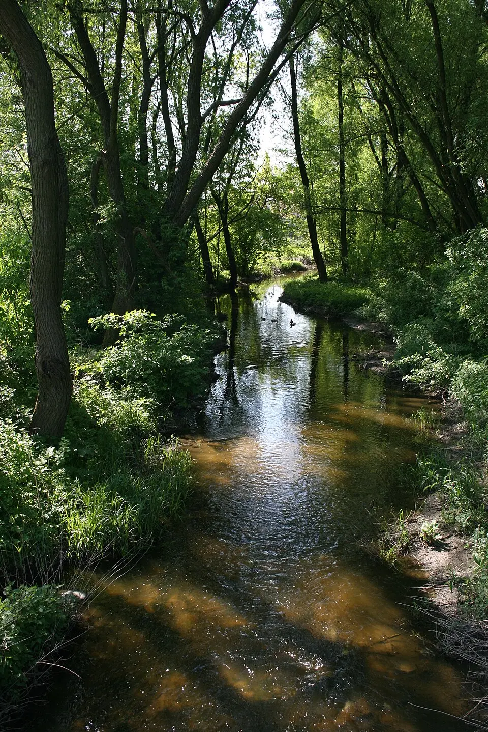 Kamianka
