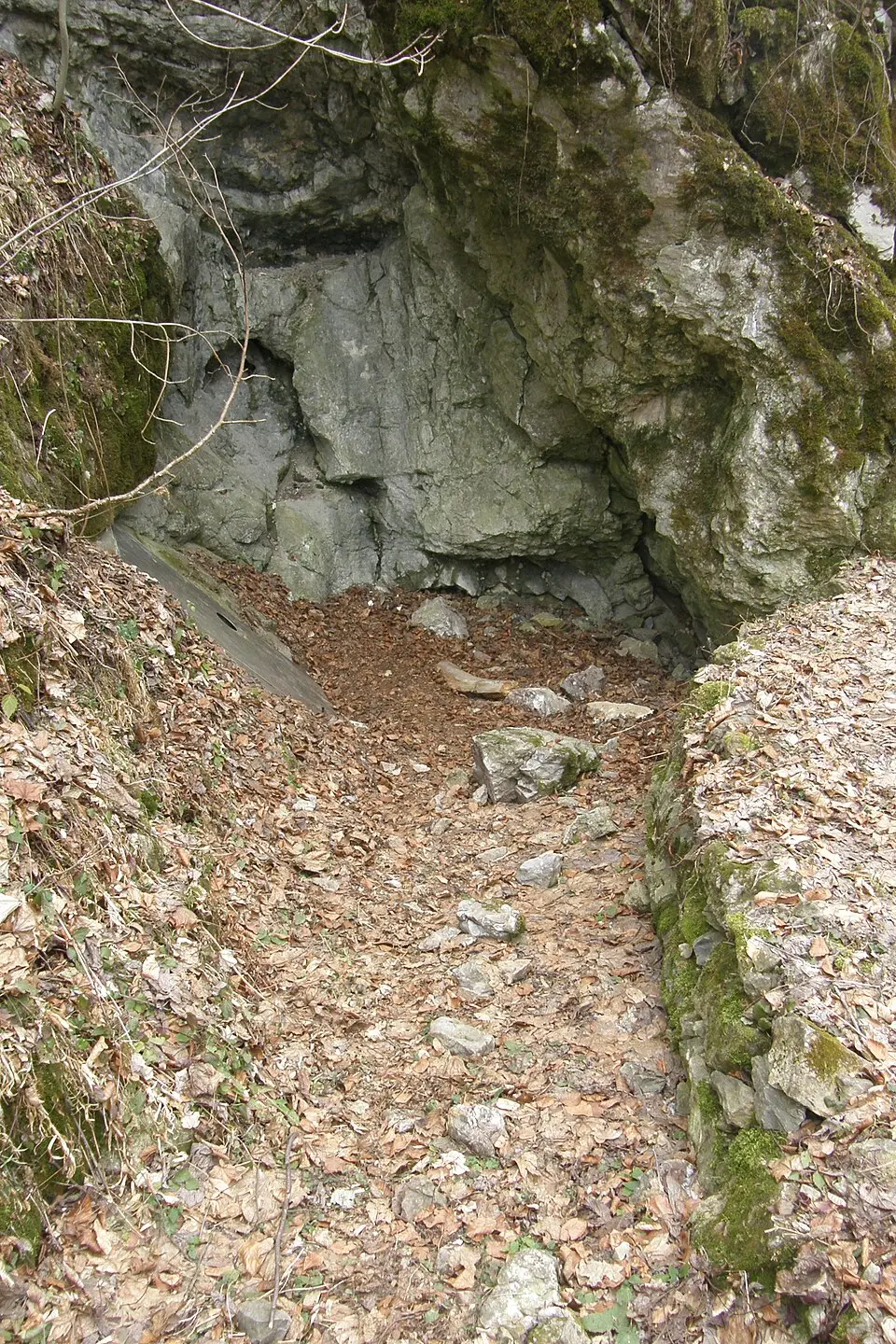 Kanibalka