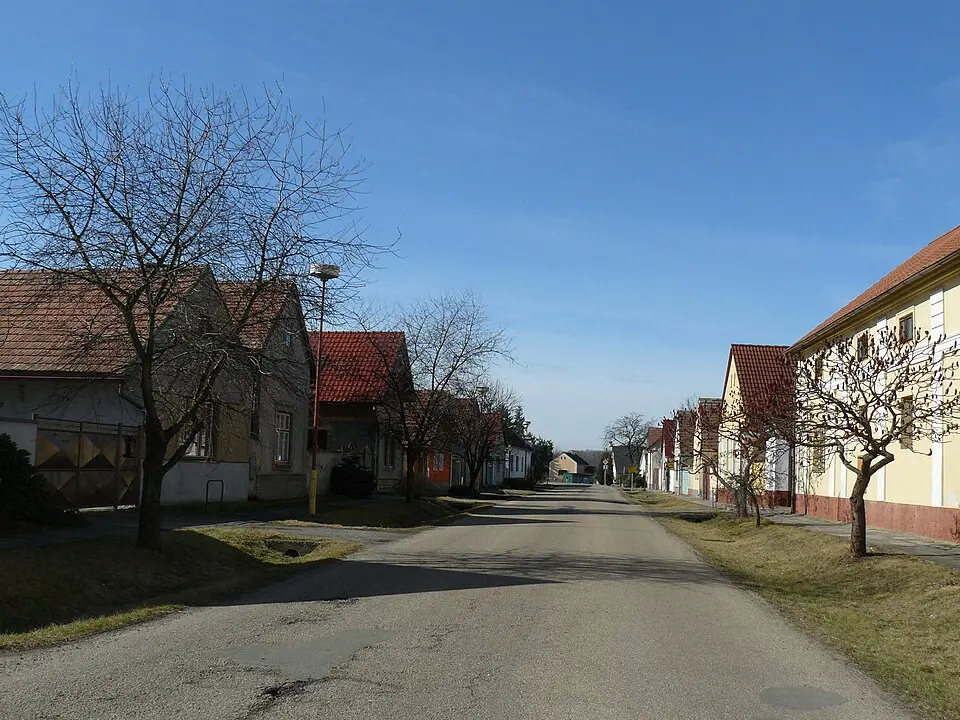 Kanín