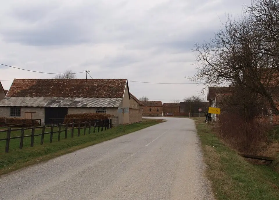 Kaniža