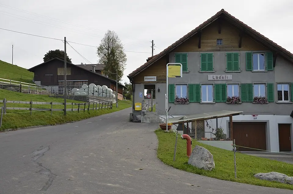 Wachseldorn