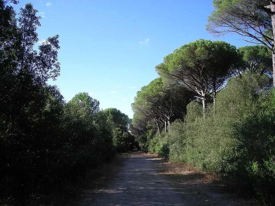 Tenuta di Tombolo