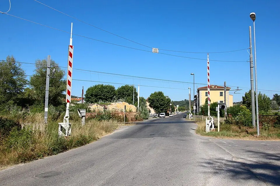 Acciaiolo