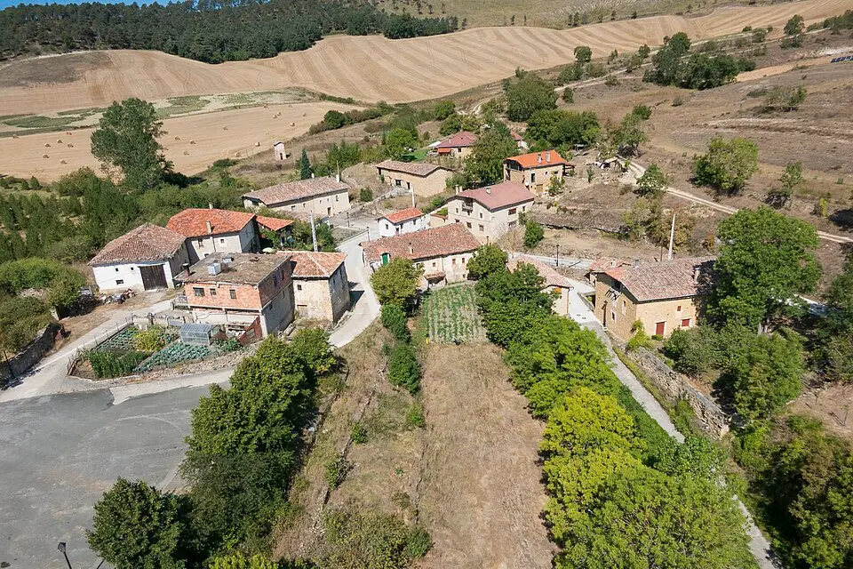 Acebedo