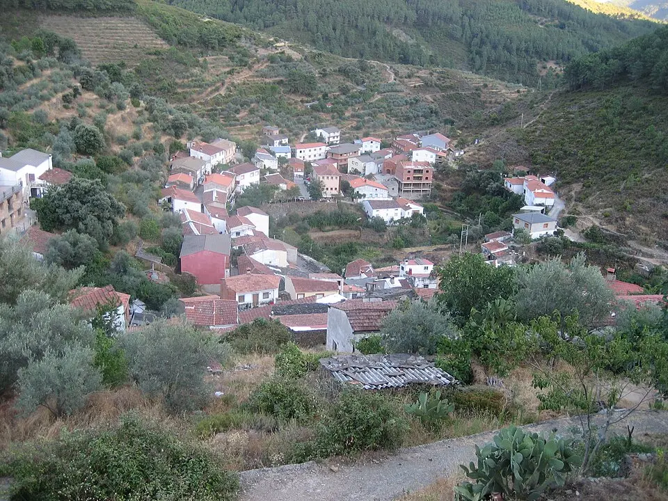 Aceitunilla