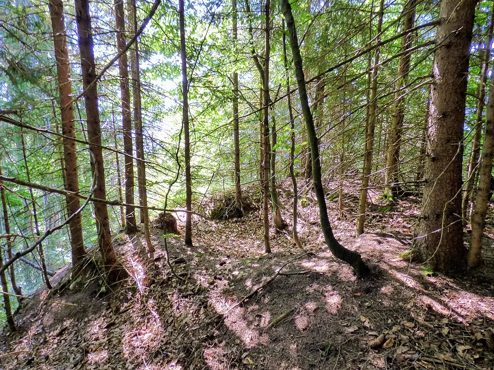 Höhensiedlung auf dem Kappele