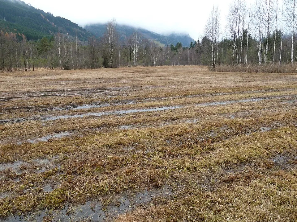 Kaprun Moor