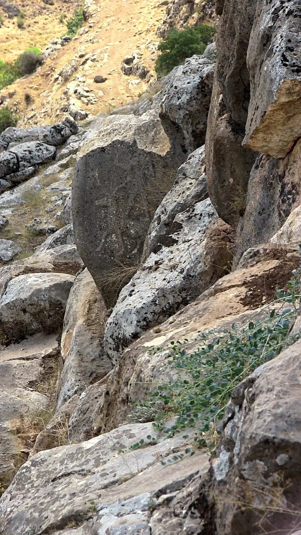 Karasu Rölyefi