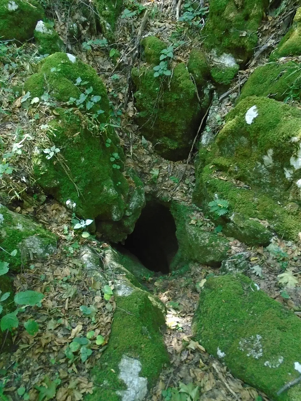 Karácsony-zsomboly