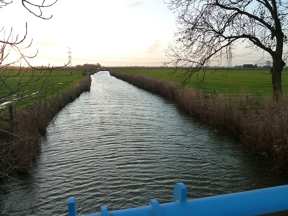 Kardingermaar
