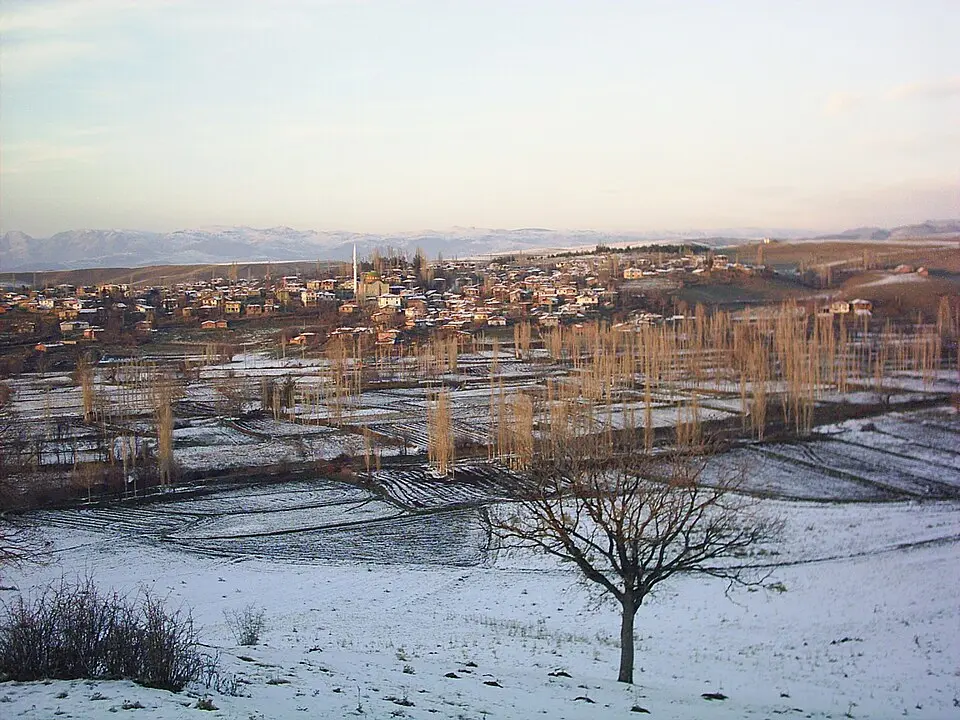 Kargı