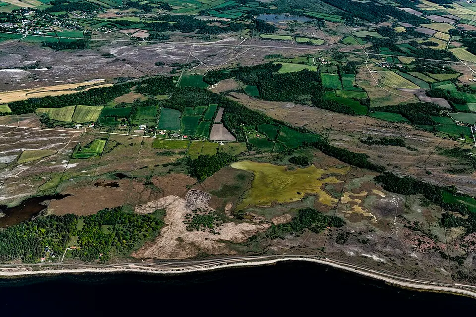 Knisa lövskog
