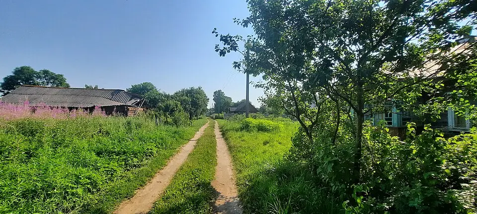 Karnilki